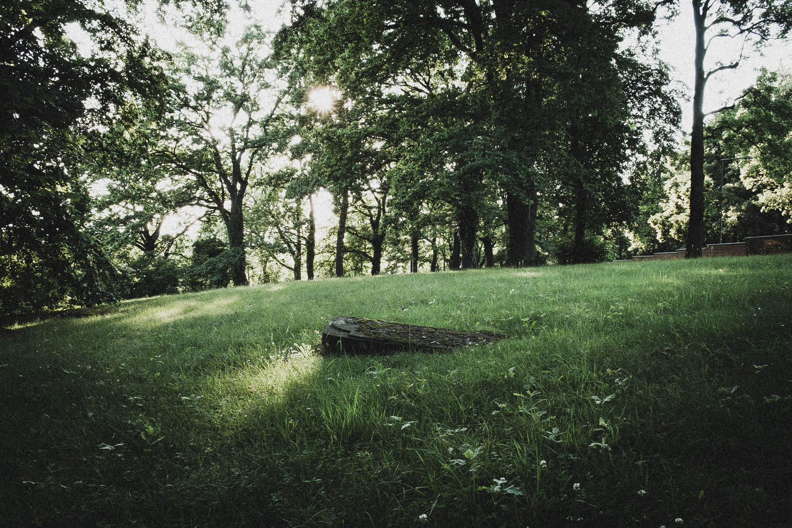 Jüdischer Friedhof Kassel-Bettenhausen